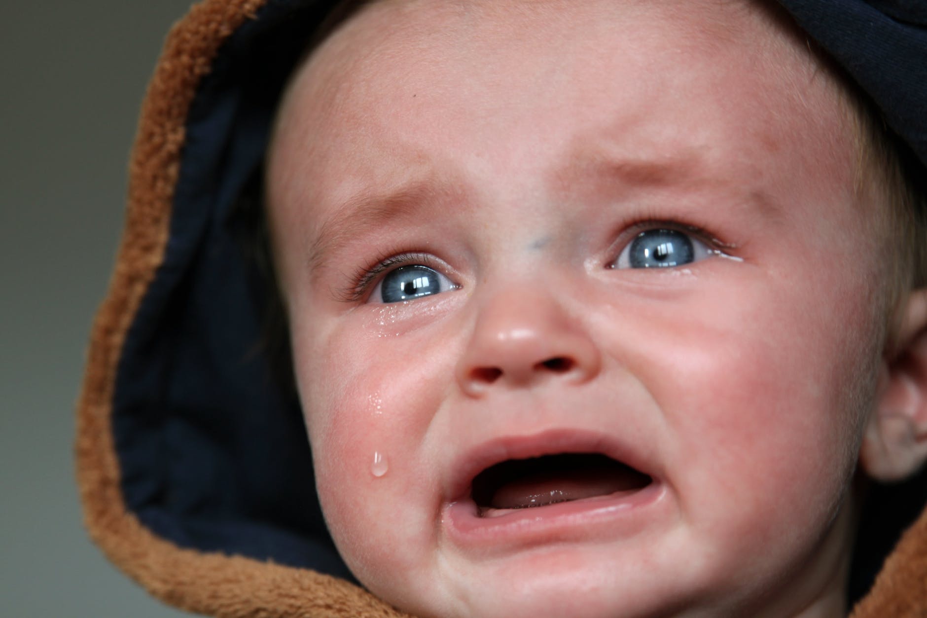 close up photo of crying baby