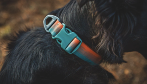 front range dog collar